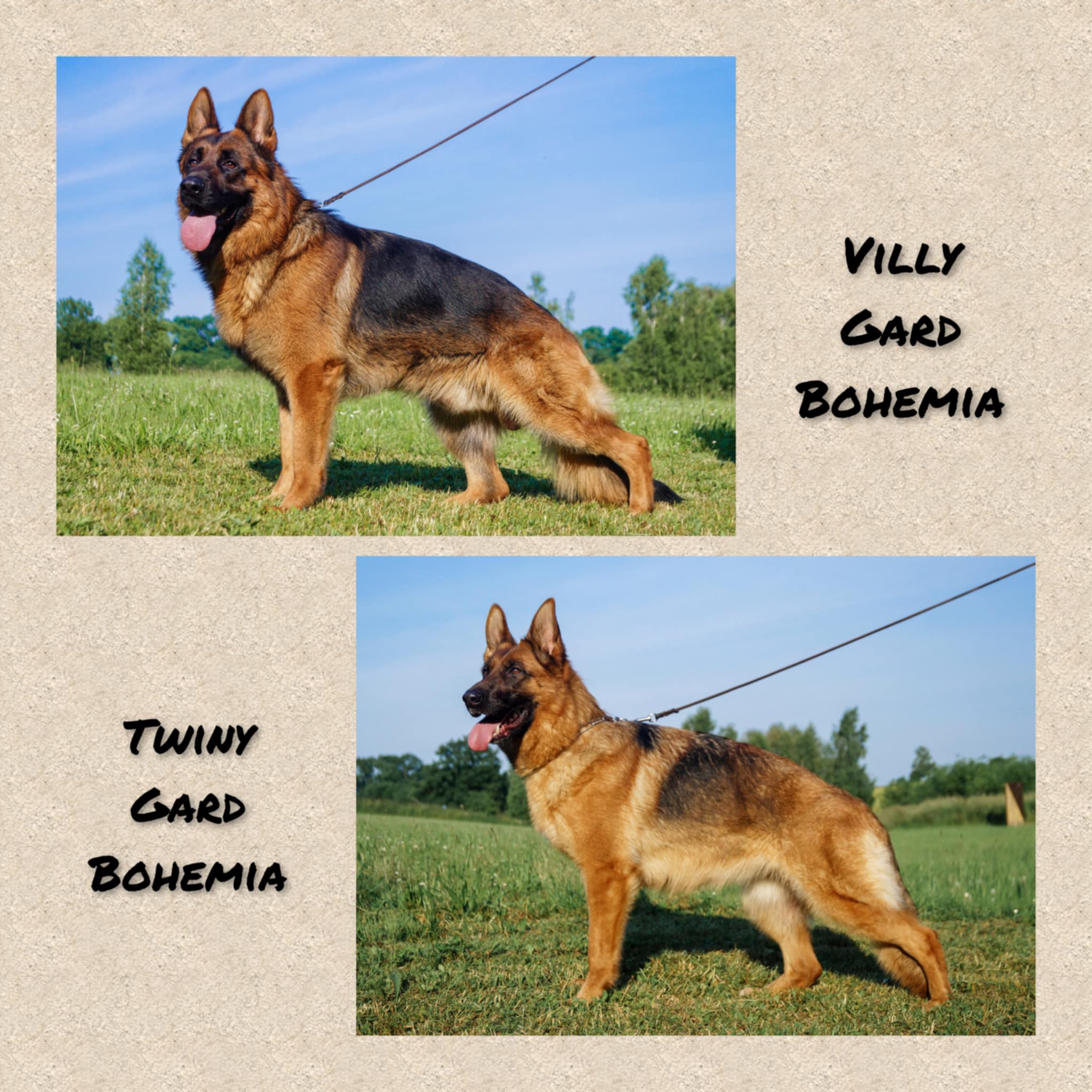 c7ea5e99-b453-4bfd-917a-8e997e66440e